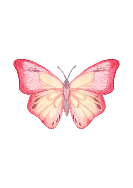 🦋 Kit de matériel papillon