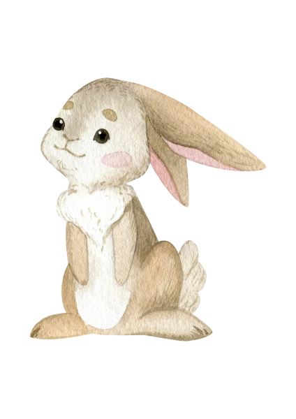 🐰 Lapin & Lapin de Pâques Kit de matériel