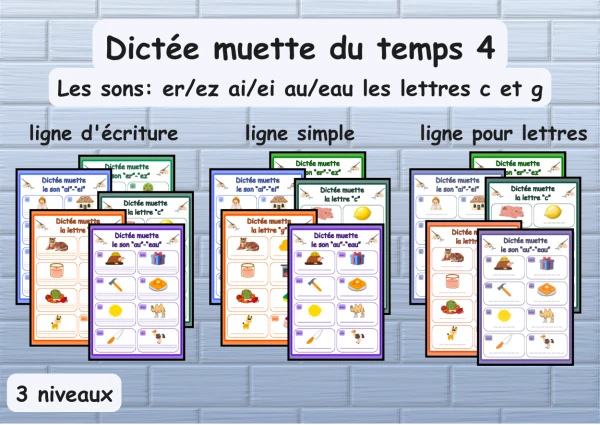 Temps 4 Dictée muette : les sons er/ez ai/ei au/eau la lettres c et la lettre g