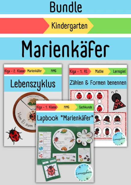 Materialpaket Marienkäfer (Kindergarten)