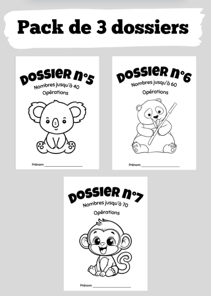 Pack de 3 dossiers de maths