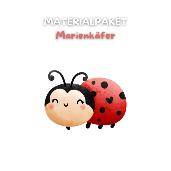 🐞🐞 Kit matériel coccinelles
