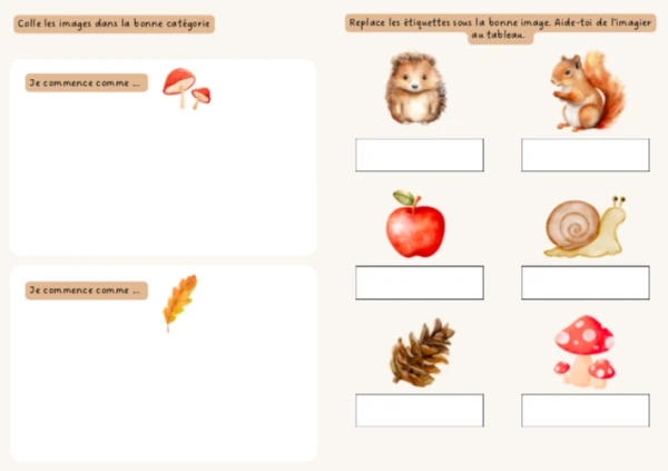 Dossiers d'automne 1P & 2P
