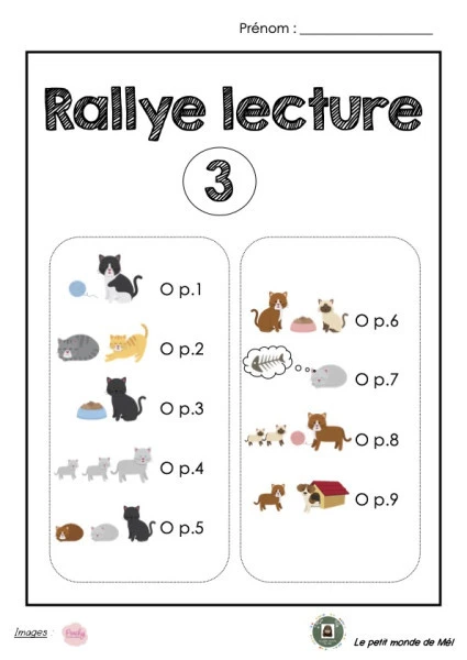 Rallye lecture 3 (3P)