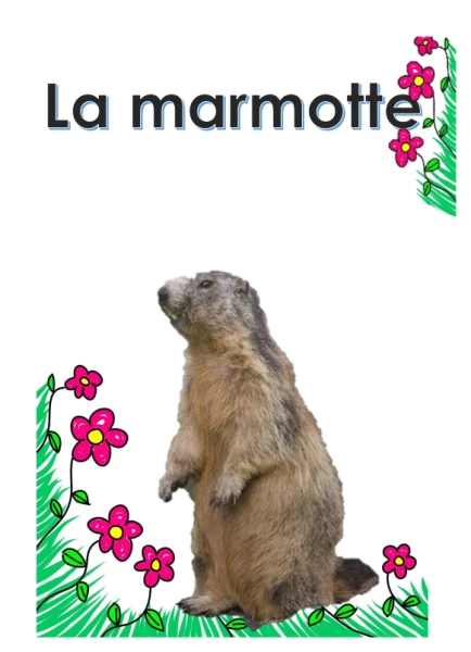 La marmotte
