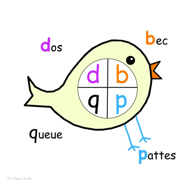 Oiseau des confusions