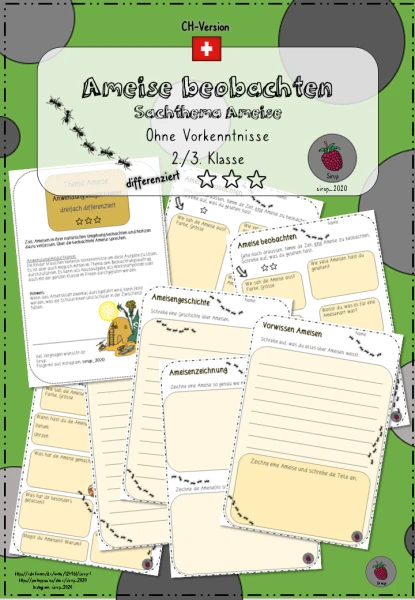 Ameise beobachten_CH-Version