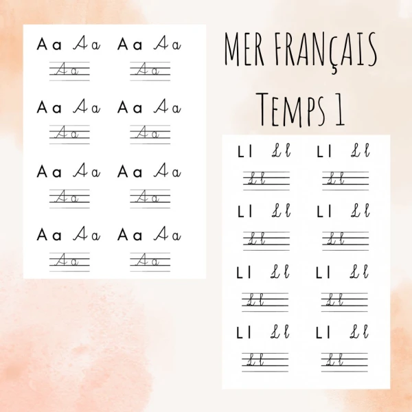 Trame lettres temps 1 (MER FRANCAIS 3H)