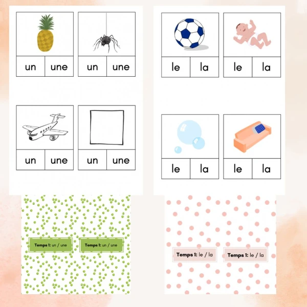 Temps 1 MER - Cartes à pinces le/la et un/une - script et cursive