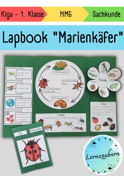 Lapbook Marienkäfer für den Kindergarten
