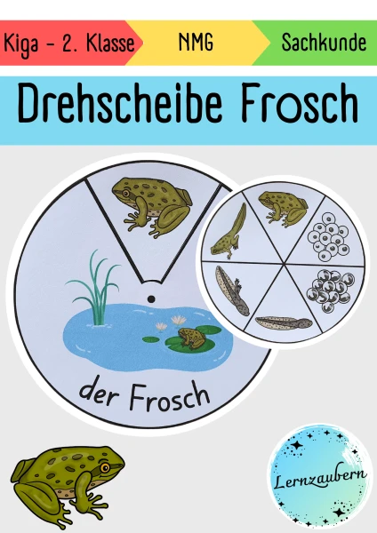 Drehscheibe Frosch (Lebenszyklus)