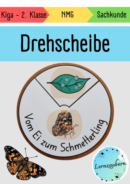 Drehscheibe Schmetterling (Lebenszyklus)