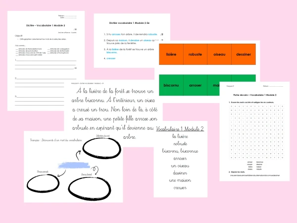 Français 5e - Module 2 - Dictée