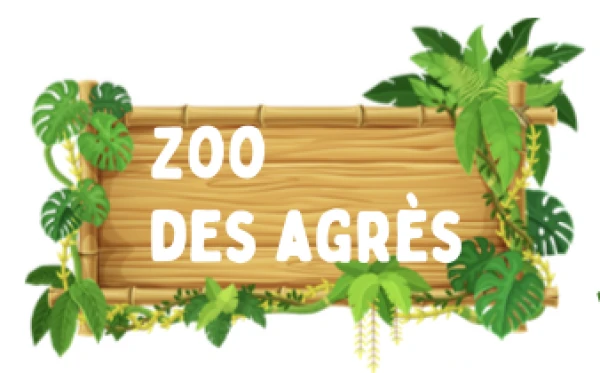 Introduction aux agrès