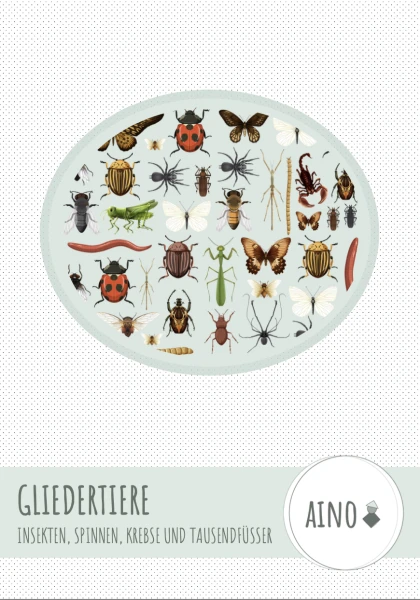 Auf den Spuren der Gliedertiere