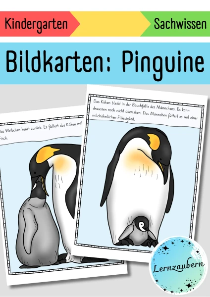 Bildkarten Pinguin (Lebenszyklus)
