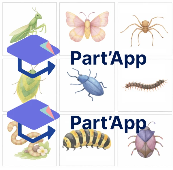 Memory Thème Insectes (24 images = 48 cartes)