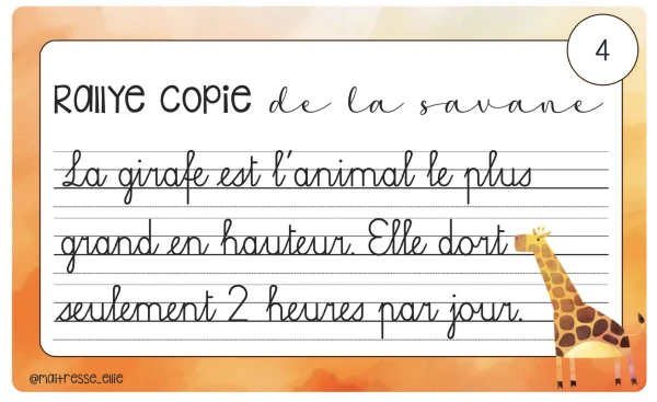 Rallye copie de la savane