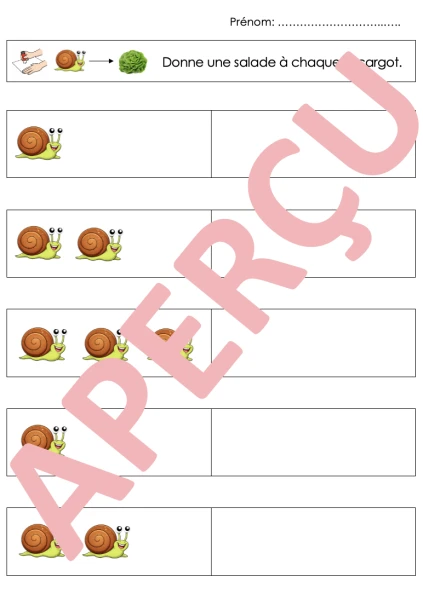 Fiches correspondance terme à terme 1P