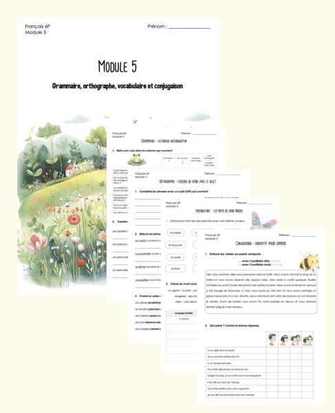 Module 5 - 6P : dossier