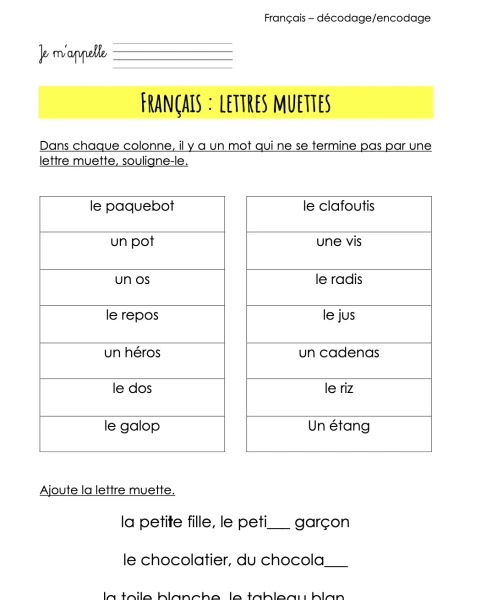 Enquêtes lettres muettes