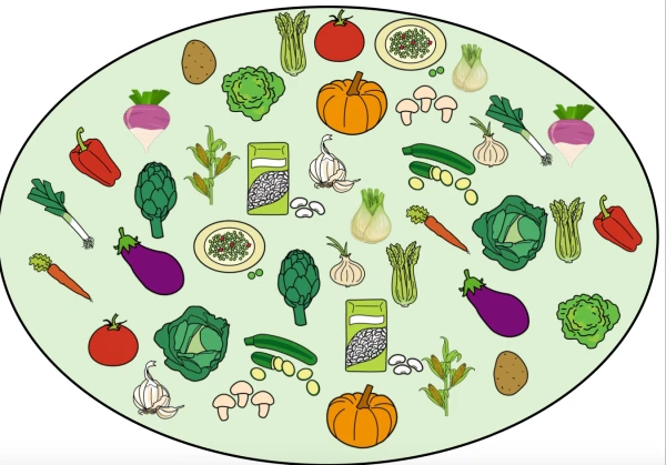 jeu sur les légumes – Jeu d’observation