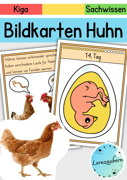 Bildkarten: Huhn und Entwicklung im Ei