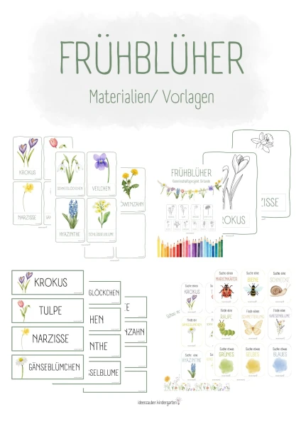 Naturprojekt Frühblüher