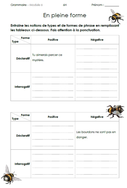 6H - Grammaire - Module 6
