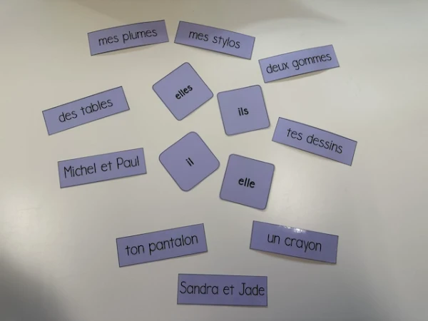 Jeu pronominalisation (il, elle, ils, elles)