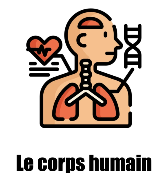 Dossier Corps humain