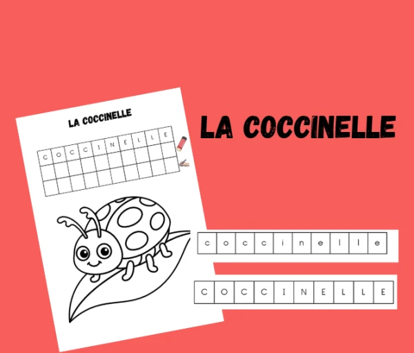 La coccinelle - découpe, colle, écris et colorie.