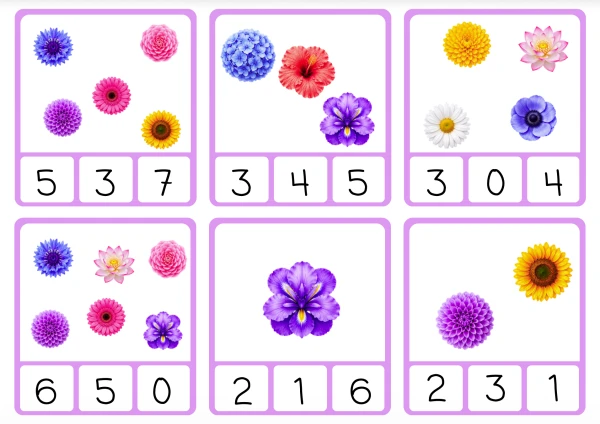 Fleurs - Cartes à pinces