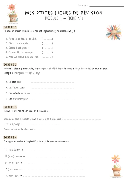 Dossier Module 1 (MER) 7P