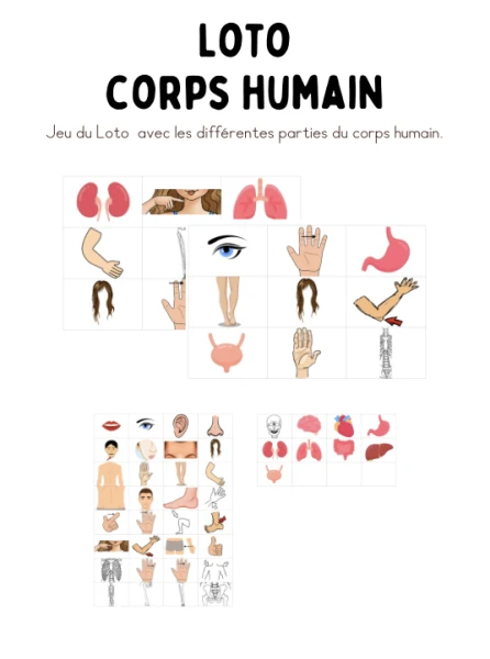 Loto - Corps humain