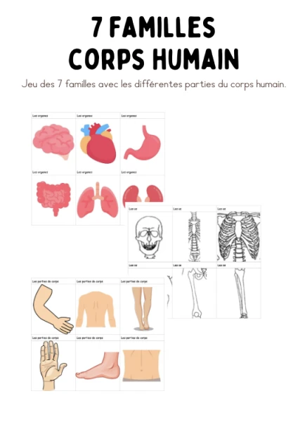 Jeux des familles - Corps humain