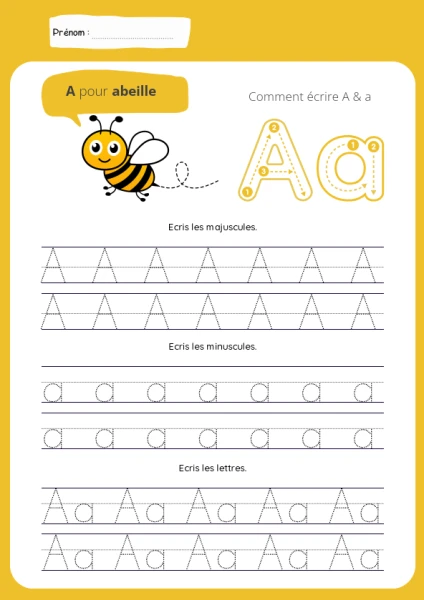 Dossier d'écriture script