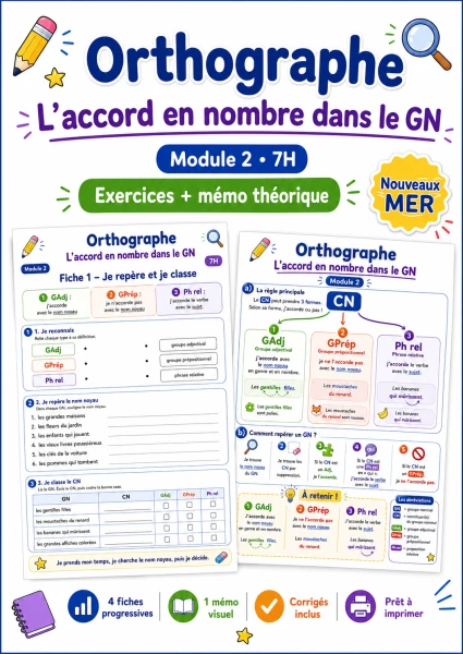 Orthographe 7H – Module 2 : l’accord dans le GN