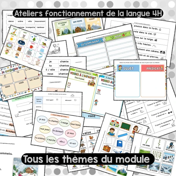 +25 ATELIERS - Nouveau MER 4H - Fonctionnement de la langue