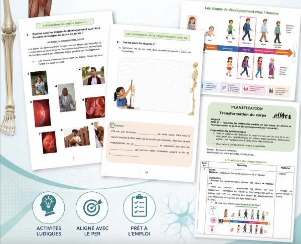 Dossier Transformation du Corps humain - Sciences 7H-8H