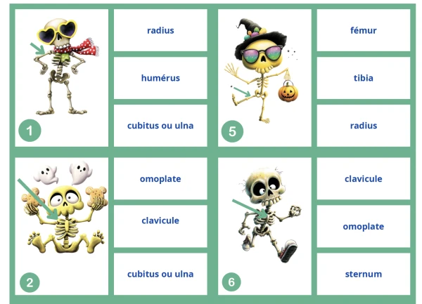 squelette version Halloween