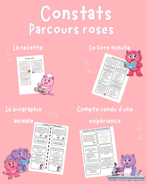 Constats parcours (série rose) 6H