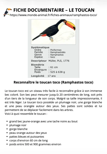 Dossier documentaire sur le toucan