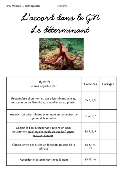 L'accord du GN (D) 8H M1