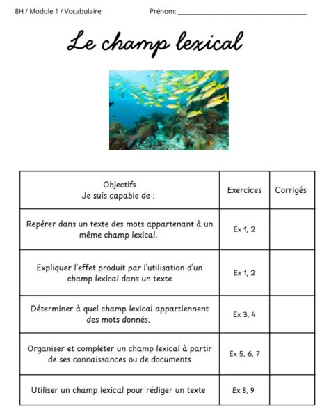 Dossier le champ lexical M1 8H