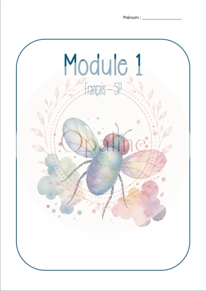 Constats 5P - Module 1