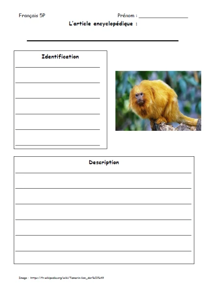 Article Encyclopédique Tamarin