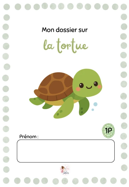 Dossier sur la tortue
