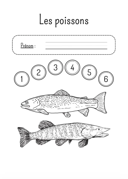 Dossier - Les poissons