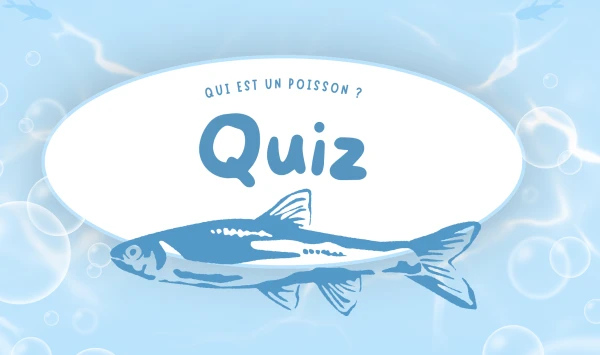 Quiz - Qui est un poisson
